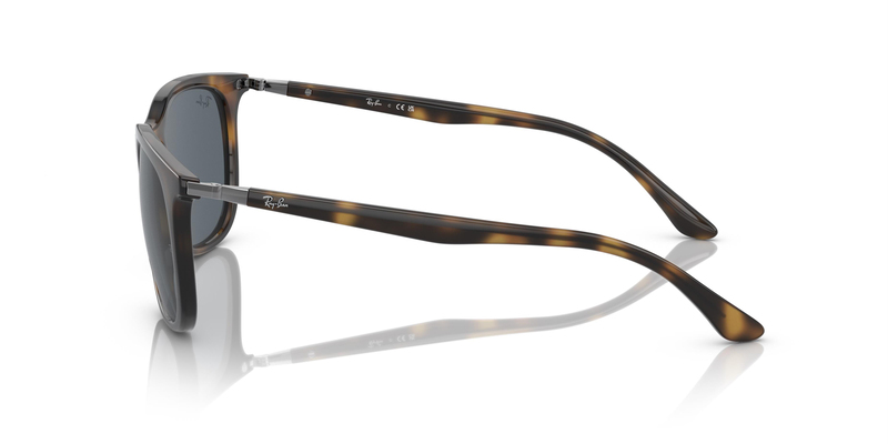 RAY-BAN  4386 710/R5 54