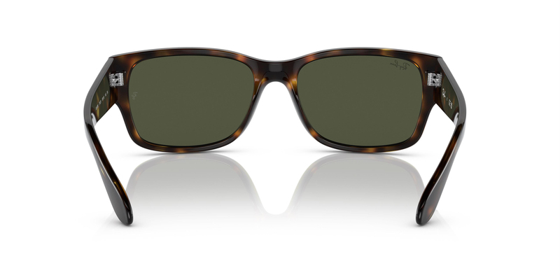 RAY-BAN 4388 710/31 55