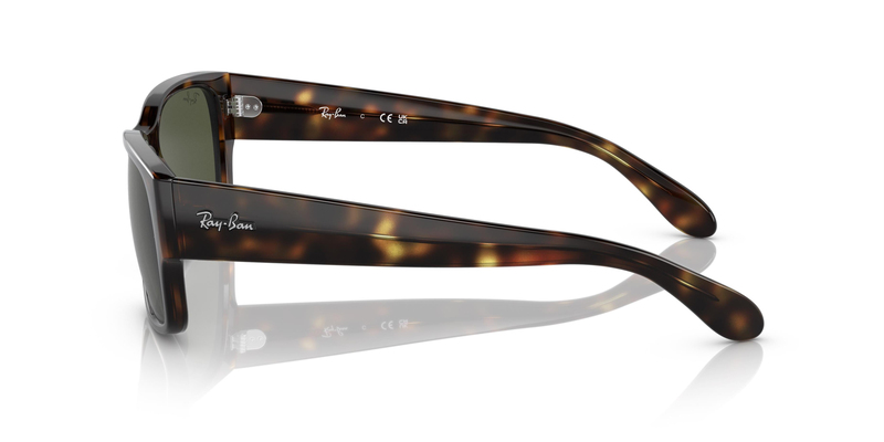 RAY-BAN 4388 710/31 58