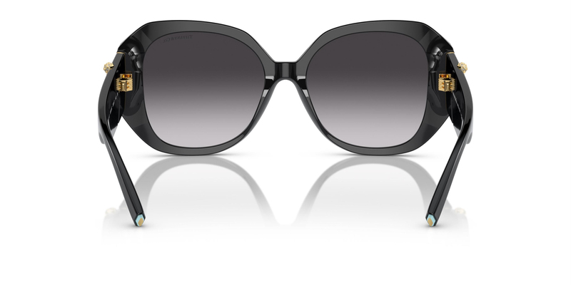 TİFFANY SUNGLASSES 0TF4207B 80013C 55