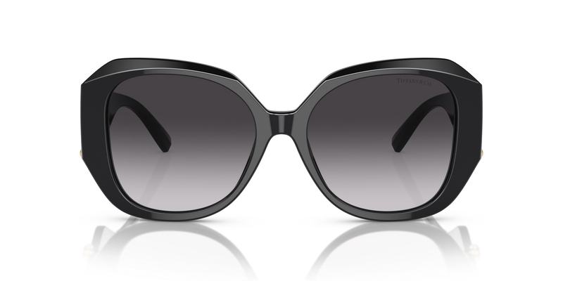 TİFFANY SUNGLASSES 0TF4207B 80013C 55