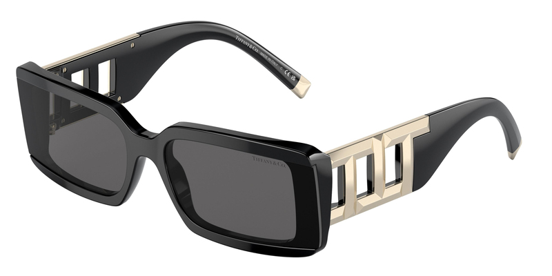 TİFFANY SUNGLASSES 0TF4197 8001S4 62 KADIN Güneş gözlükleri