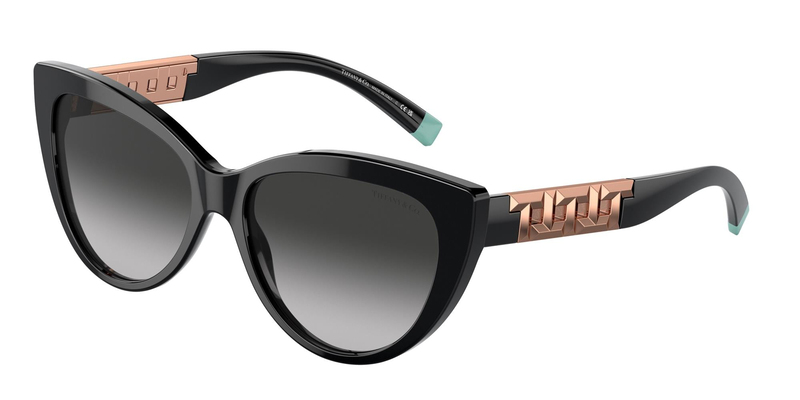 TİFFANY SUNGLASSES 0TF4196 80013C 56