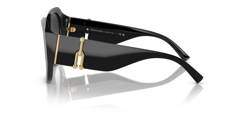 TİFFANY SUNGLASSES 0TF4207B 80013C 55