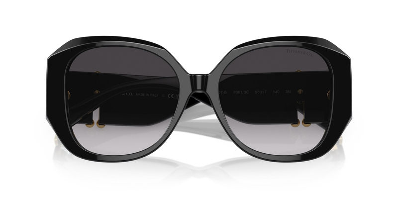 TİFFANY SUNGLASSES 0TF4207B 80013C 55