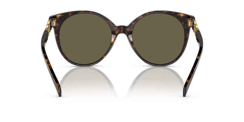 VERSACE 4442 108/3 55 Kadın Güneş Gözlüğü
