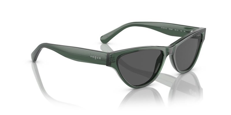 VOGUE 5513S 300487 55