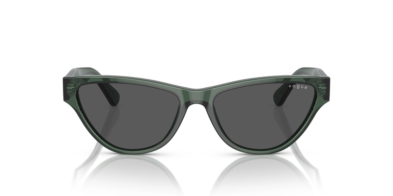 VOGUE 5513S 300487 55