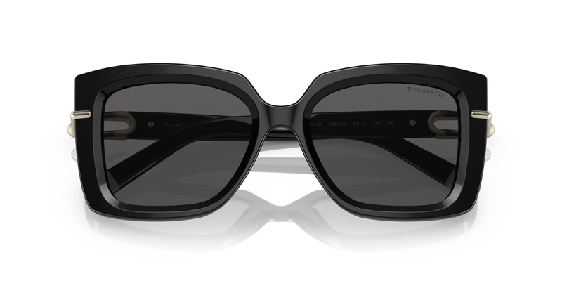 TİFFANY SUNGLASSES 0TF4199 8001S4 53
