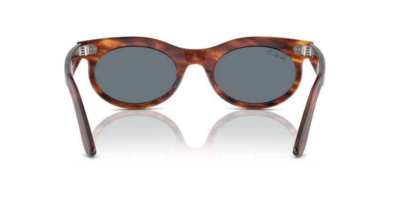 RAY-BAN 2242 954/3R 53 Güneş Gözlüğü