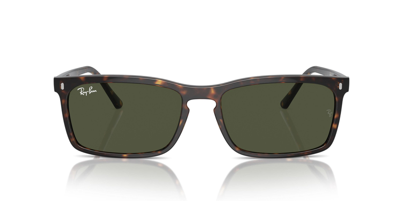 RAY-BAN 0RB4435 902/31 59