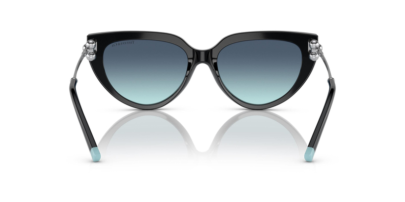 TİFFANY SUNGLASSES 0TF4195 80019S 54