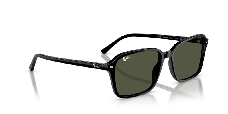 RAY-BAN 0RB2231 901/31 56