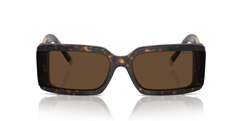 TİFFANY SUNGLASSES 0TF4197 80153G 62
