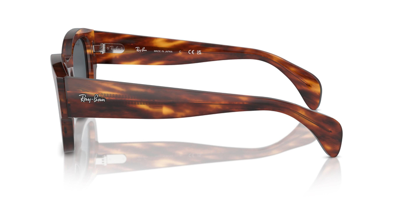 RAY-BAN 7681S 954/R5 52 Güneş Gözlüğü
