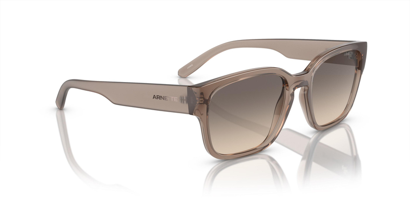 ARNETTE 0AN4325 290613 54