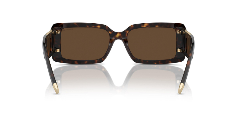 TİFFANY SUNGLASSES 0TF4197 80153G 62