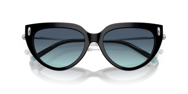 TİFFANY SUNGLASSES 0TF4195 80019S 54
