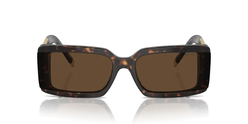 TİFFANY SUNGLASSES 4197 80153G 62