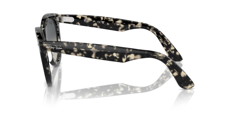 RAY-BAN 2241 133371 54 Unisex Güneş Gözlüğü