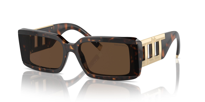 TİFFANY SUNGLASSES 0TF4197 80153G 62
