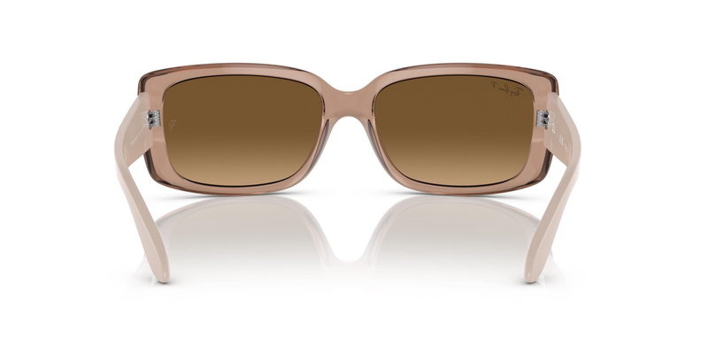 RAY-BAN 4389 6644M2 58