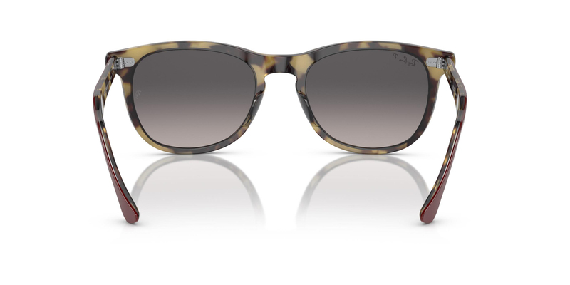 RAY-BAN 0RB2398 1377M3 56