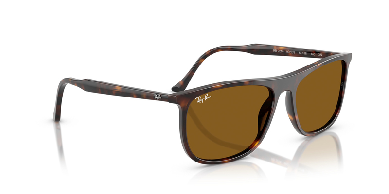 RAY-BAN 2216 902/33 61