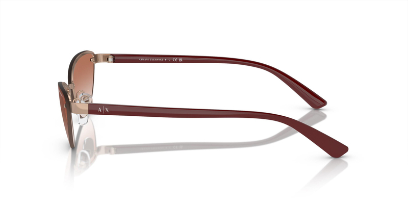 ARMANI EXCHANGE 0AX2049S 610313 58