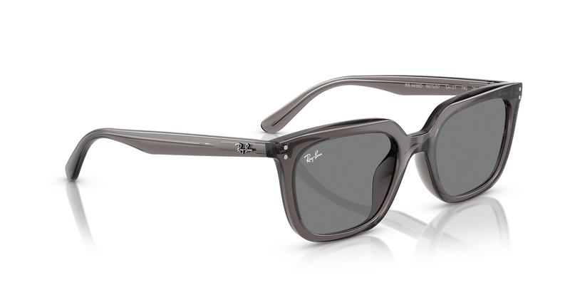 RAY-BAN 0RB4439D 667587 54