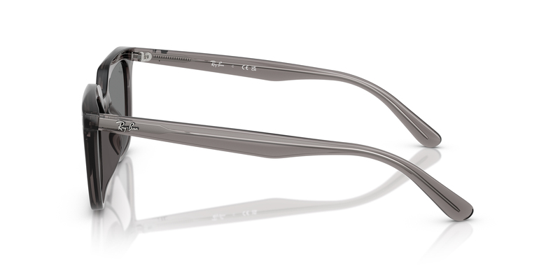 RAY-BAN 0RB4439D 667587 54