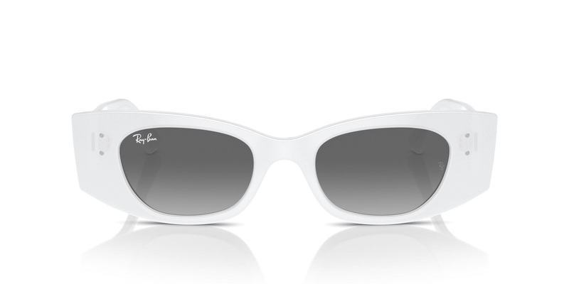 RAY-BAN 0RB4427 675911 49