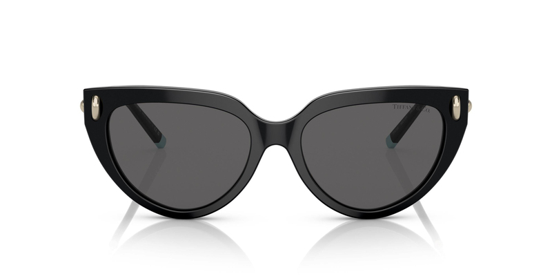 TİFFANY SUNGLASSES 0TF4195 8001S4 54