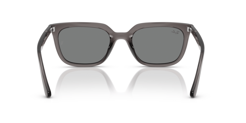 RAY-BAN 0RB4439D 667587 54