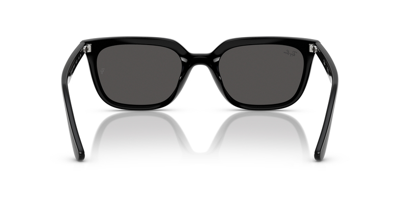 RAY-BAN 0RB4439D 901/87 54