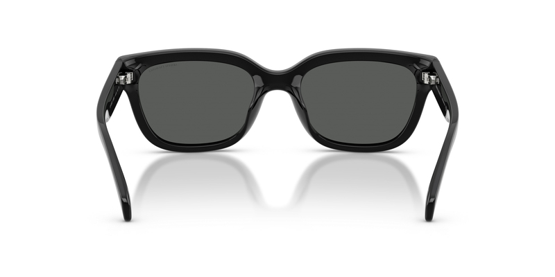 ARMANI EXCHANGE 4155SU 815887 54