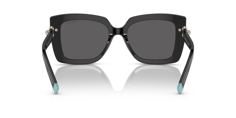 TİFFANY SUNGLASSES 0TF4199 8001S4 53