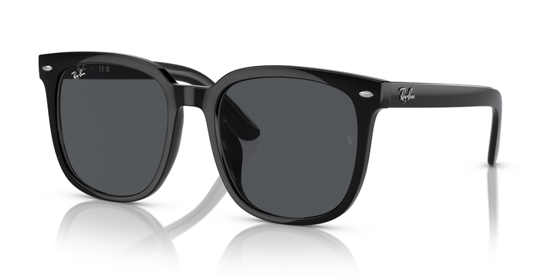 RAY-BAN 0RB4401D 601/87 55