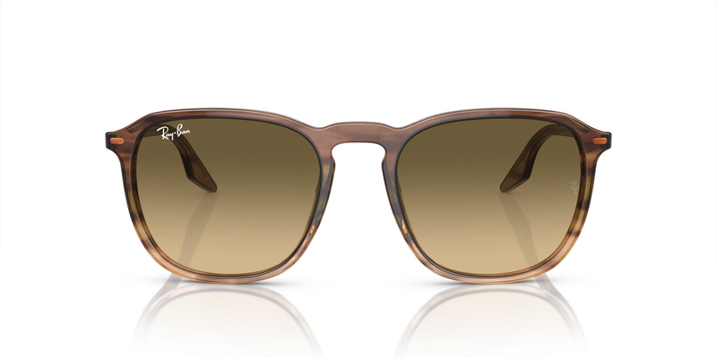 RAY-BAN 2203 13920A 55 Güneş Gözlüğü