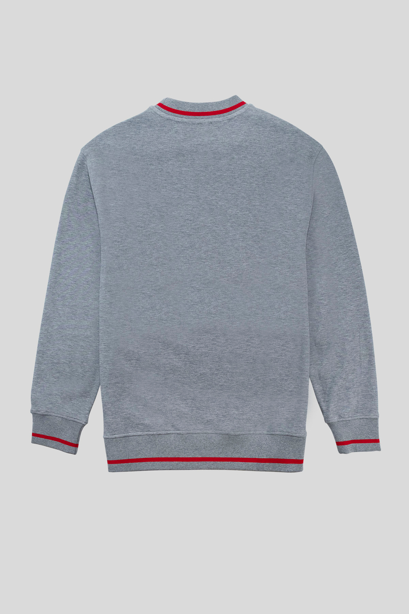 Bisiklet Yaka Baskı Detaylı Regular Fit Erkek Sweatshirt
