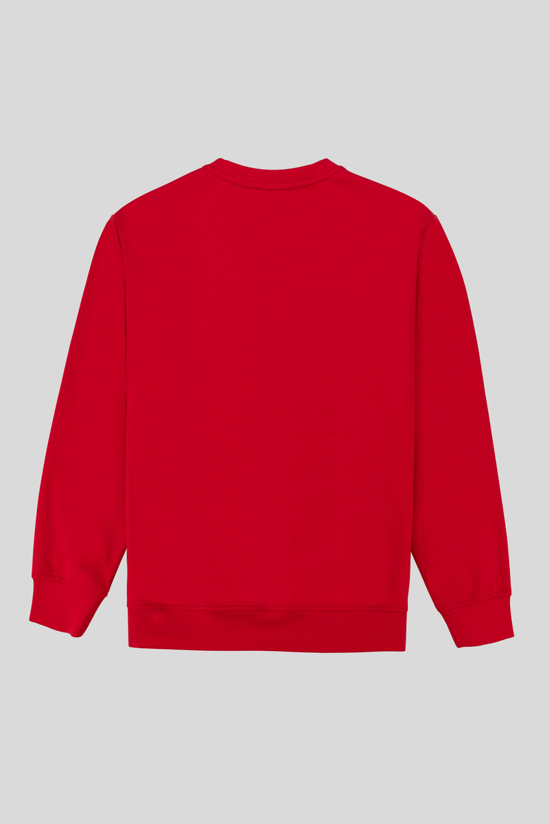 Bisiklet Yaka Baskılı Regular Fit Erkek Sweatshirt