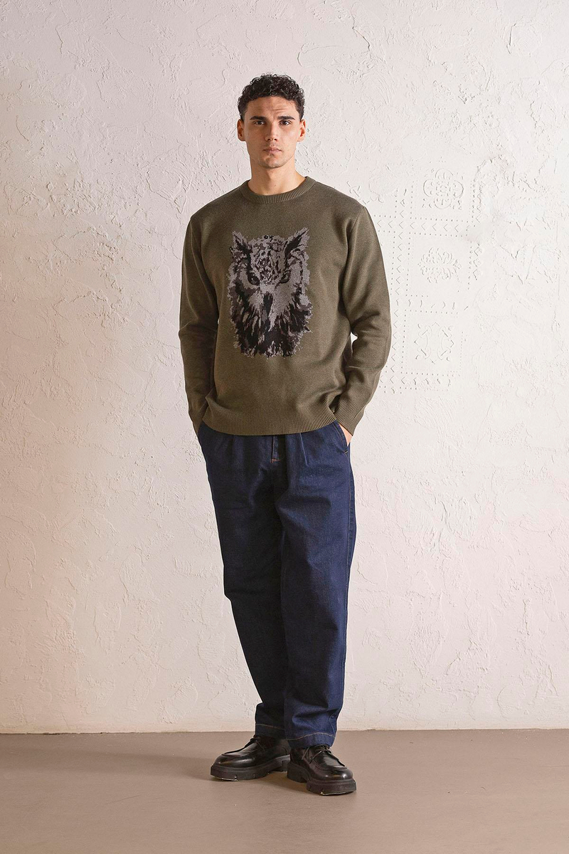 Bisiklet Yaka Baykuş Desenli Örme Erkek Kazak