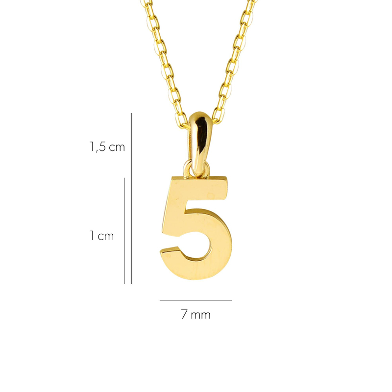 14 Ayar Beş Rakamı Altın Kolye