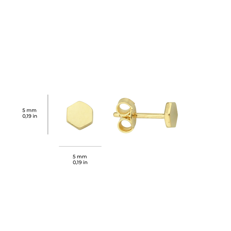 14 Ayar Minik Altıgen Altın Küpe