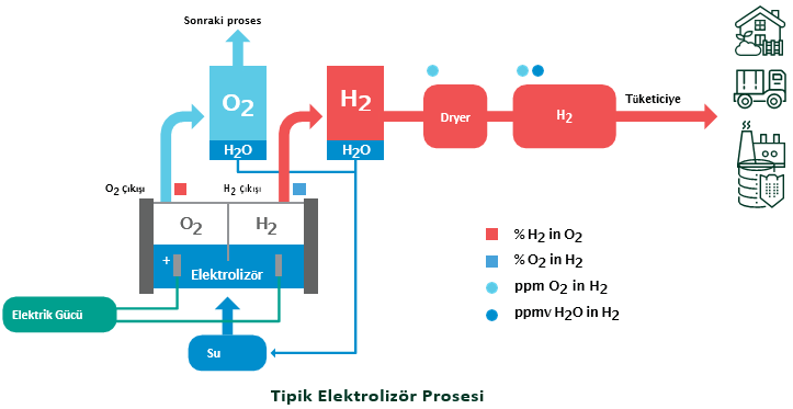 Elektrolizör