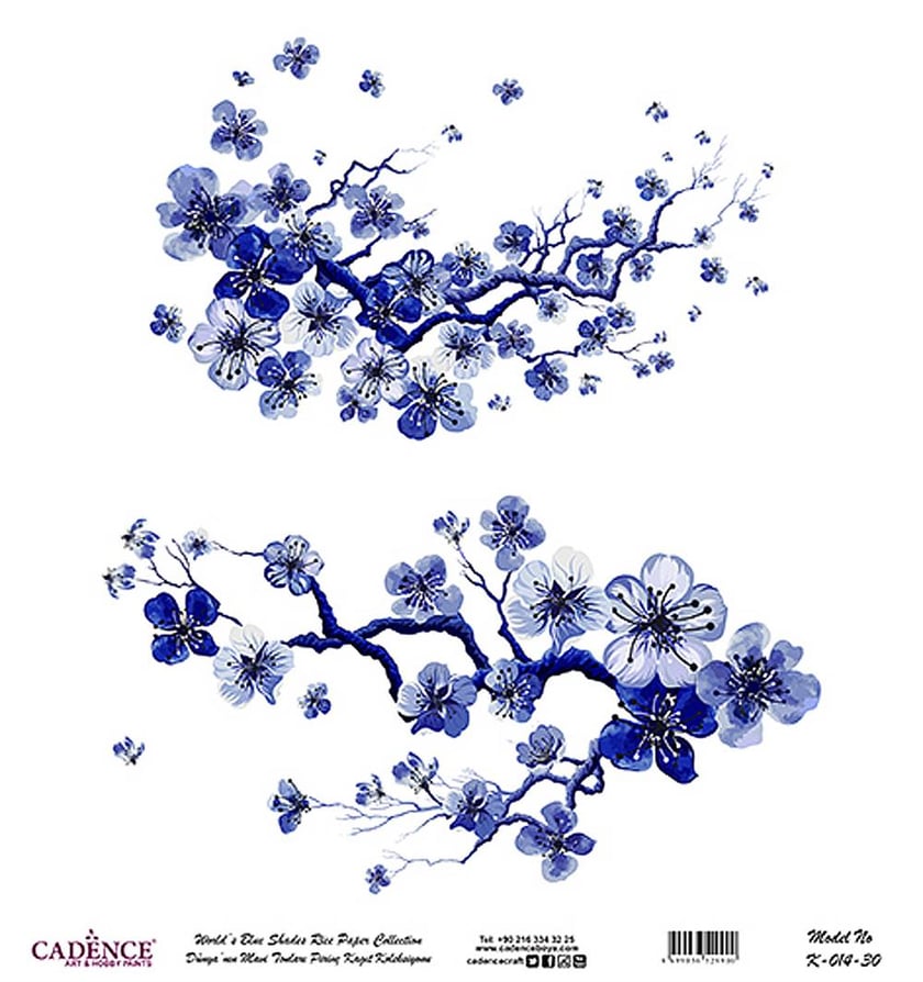 Dünya'nın Mavi Tonları Pirinç Kağıt 30x32 cm - K014