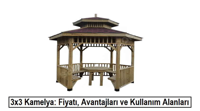 3x3 Kamelya: Fiyatı, Avantajları ve Kullanım Alanları