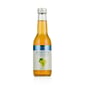 %100 Meyve Suyu  Beyaz Üzüm 250 ml - Naturca