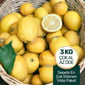3 Kg Organik Limon Paketi