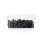 Organik Aronya 250 gr